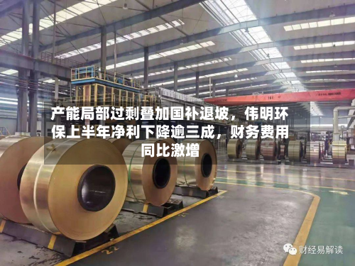 产能局部过剩叠加国补退坡，伟明环保上半年净利下降逾三成，财务费用同比激增-第2张图片