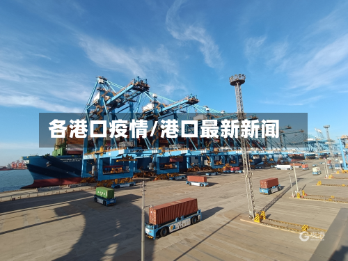 各港口疫情/港口最新新闻-第2张图片