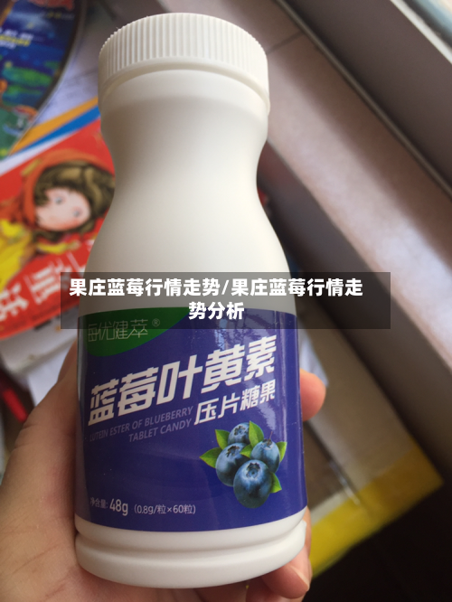 果庄蓝莓行情走势/果庄蓝莓行情走势分析-第2张图片