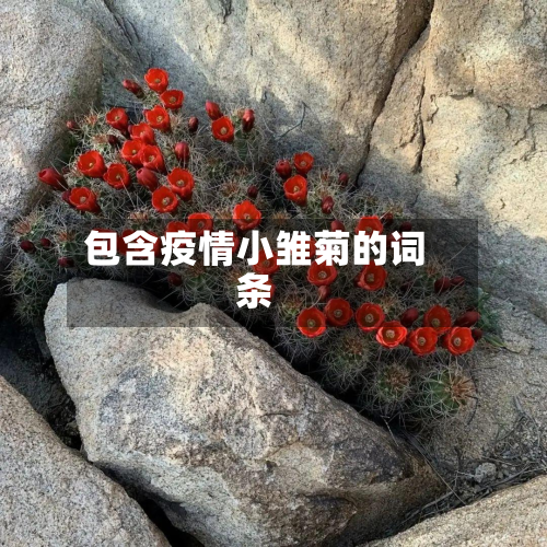 包含疫情小雏菊的词条-第2张图片