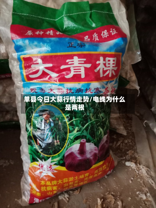 单县今日大蒜行情走势/电线为什么是两根-第1张图片