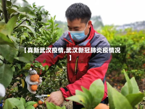 【真新武汉疫情,武汉新冠肺炎疫情况】-第1张图片