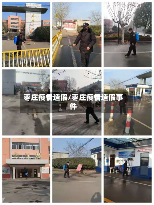 枣庄疫情造假/枣庄疫情造假事件-第1张图片