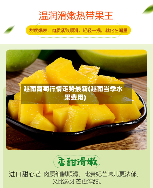 越南葡萄行情走势最新(越南当季水果费用)-第1张图片
