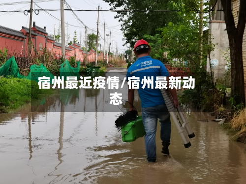 宿州最近疫情/宿州最新动态-第3张图片