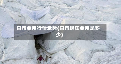 白布费用行情走势(白布现在费用是多少)-第1张图片