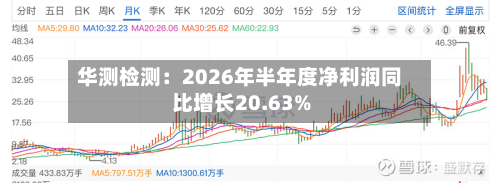 华测检测：2026年半年度净利润同比增长20.63%-第2张图片