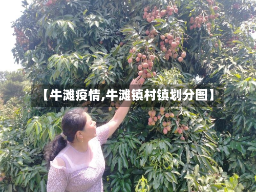 【牛滩疫情,牛滩镇村镇划分图】-第1张图片