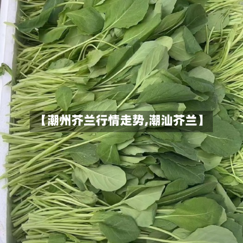 【潮州芥兰行情走势,潮汕芥兰】-第1张图片