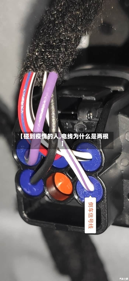 【碰到疫情的人,电线为什么是两根】-第3张图片