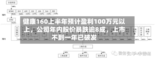 健康160上半年预计盈利100万元以上	，公司年内股价暴跌逾8成，上市不到一年已破发-第2张图片