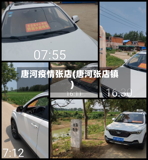 唐河疫情张店(唐河张店镇)-第3张图片