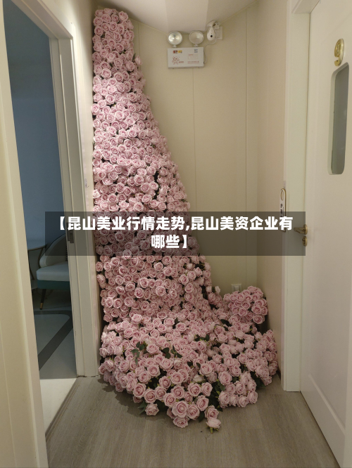 【昆山美业行情走势,昆山美资企业有哪些】-第1张图片