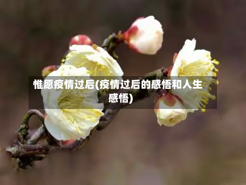 惟愿疫情过后(疫情过后的感悟和人生感悟)-第2张图片