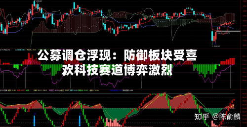 公募调仓浮现：防御板块受喜欢	，科技赛道博弈激烈-第3张图片
