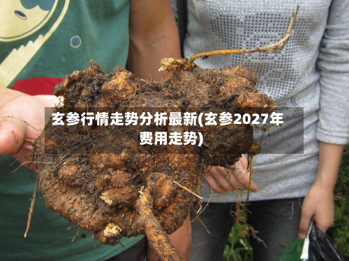 玄参行情走势分析最新(玄参2027年费用走势)-第1张图片