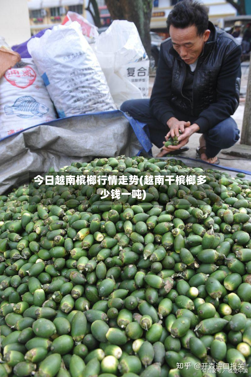 今日越南槟榔行情走势(越南干槟榔多少钱一吨)-第1张图片