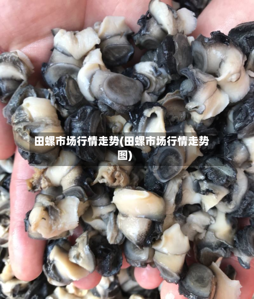 田螺市场行情走势(田螺市场行情走势图)-第2张图片