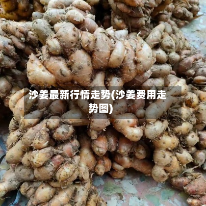 沙姜最新行情走势(沙姜费用走势图)-第2张图片
