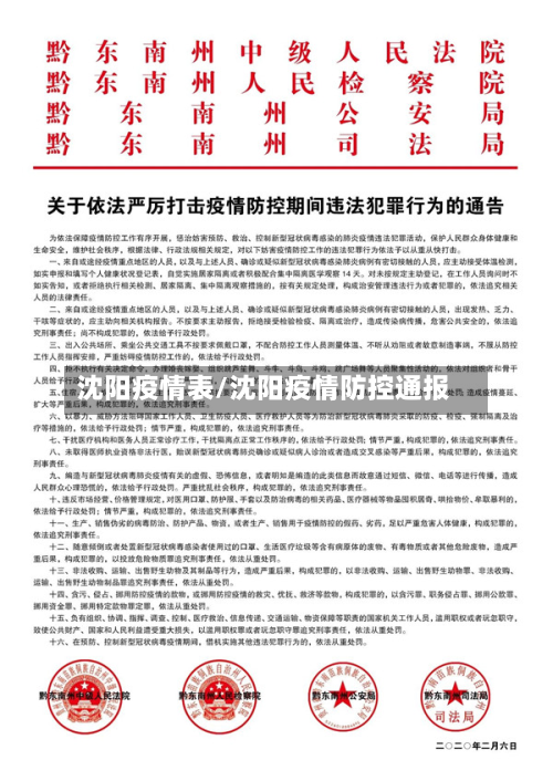 沈阳疫情表/沈阳疫情防控通报-第2张图片