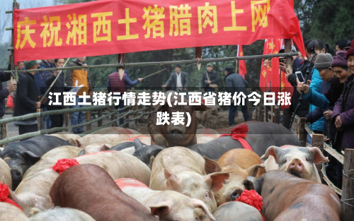 江西土猪行情走势(江西省猪价今日涨跌表)-第1张图片