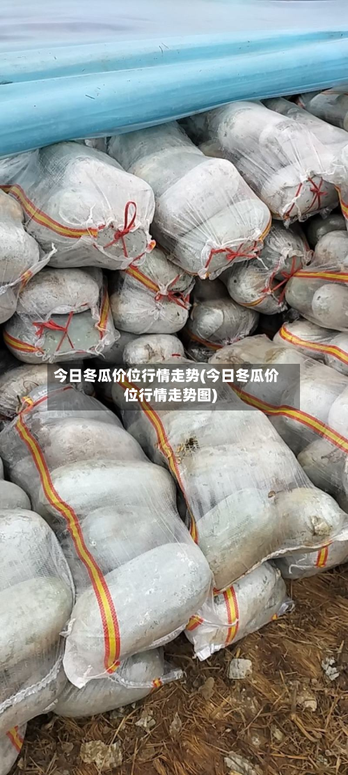 今日冬瓜价位行情走势(今日冬瓜价位行情走势图)-第3张图片