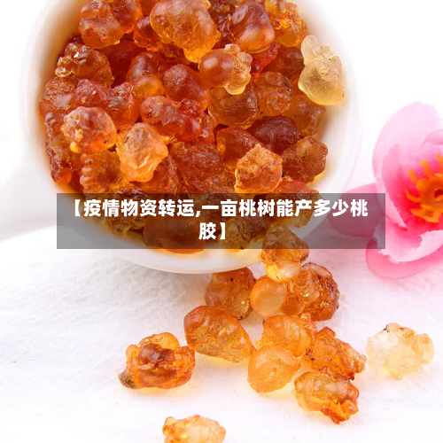 【疫情物资转运,一亩桃树能产多少桃胶】-第3张图片