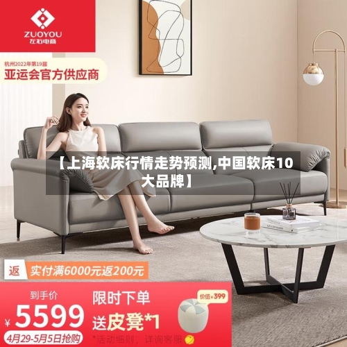 【上海软床行情走势预测,中国软床10大品牌】-第1张图片