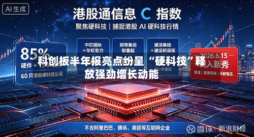 科创板半年报亮点纷呈 “硬科技	”释放强劲增长动能-第1张图片