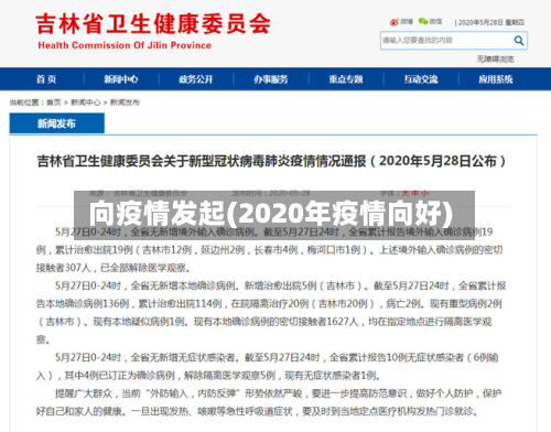 向疫情发起(2020年疫情向好)-第2张图片