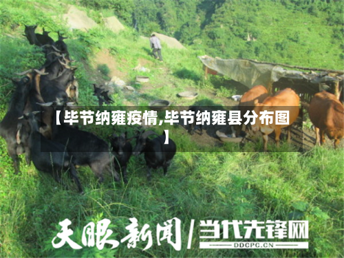 【毕节纳雍疫情,毕节纳雍县分布图】-第2张图片