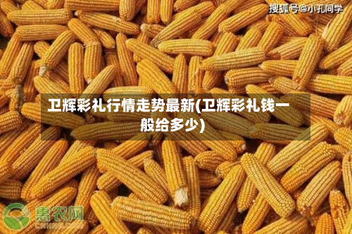 卫辉彩礼行情走势最新(卫辉彩礼钱一般给多少)-第2张图片