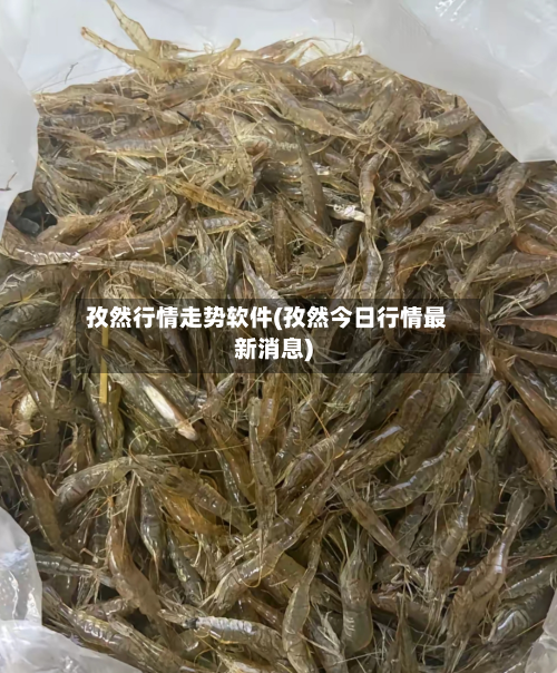孜然行情走势软件(孜然今日行情最新消息)-第2张图片
