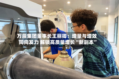 万辰集团董事长王丽卿：增量与增效同向发力 解锁高质量增长“新副本”-第1张图片