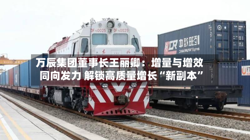 万辰集团董事长王丽卿：增量与增效同向发力 解锁高质量增长“新副本”-第2张图片