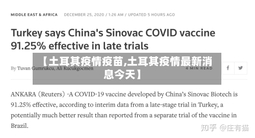 【土耳其疫情疫苗,土耳其疫情最新消息今天】-第3张图片