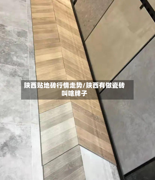 陕西贴地砖行情走势/陕西有做瓷砖叫啥牌子-第1张图片