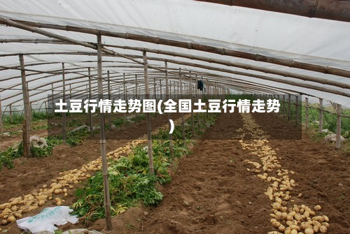 土豆行情走势图(全国土豆行情走势)-第3张图片