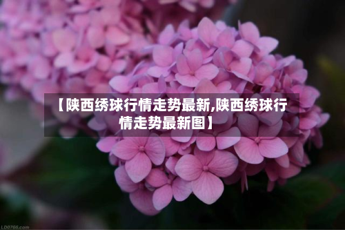 【陕西绣球行情走势最新,陕西绣球行情走势最新图】-第1张图片