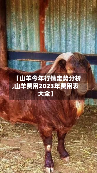 【山羊今年行情走势分析,山羊费用2023年费用表大全】-第1张图片