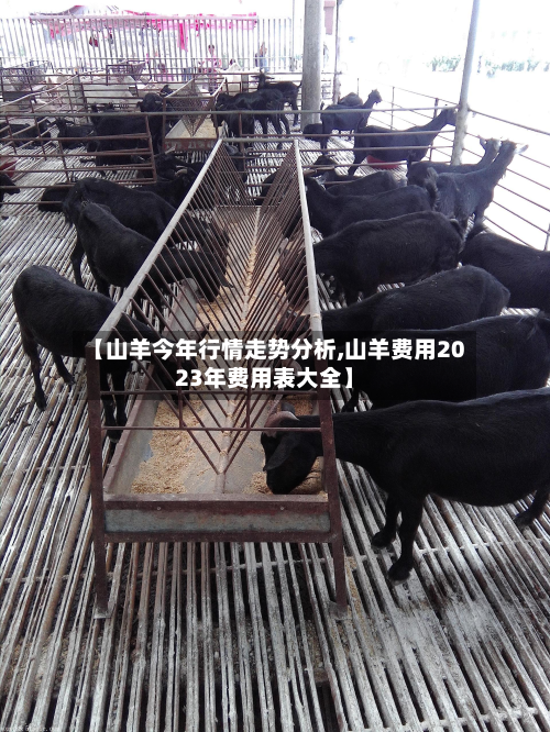 【山羊今年行情走势分析,山羊费用2023年费用表大全】-第2张图片
