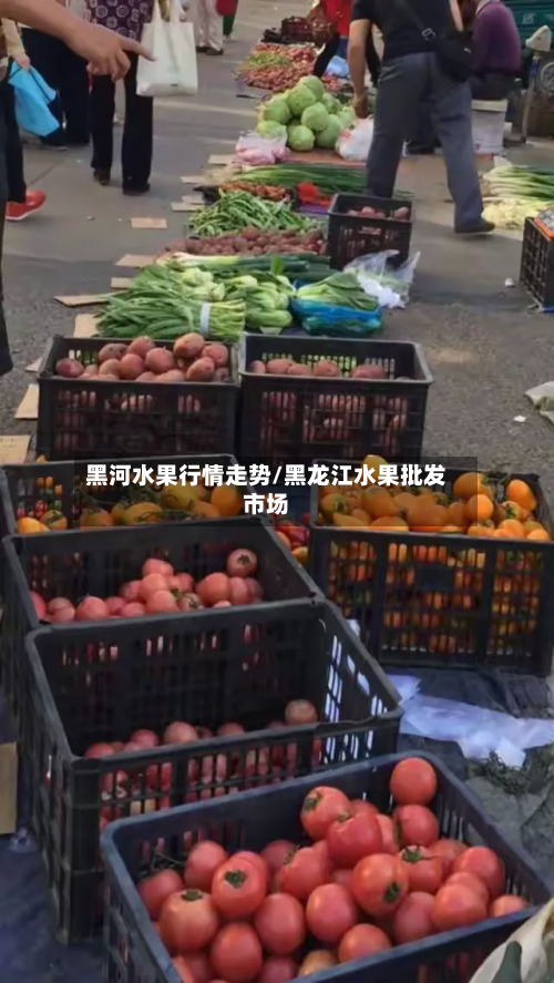 黑河水果行情走势/黑龙江水果批发市场-第1张图片
