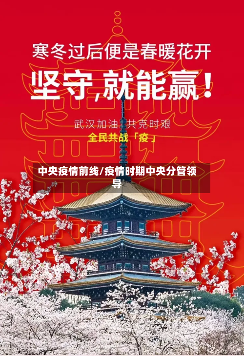 中央疫情前线/疫情时期中央分管领导-第2张图片