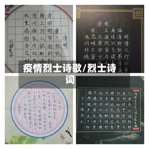 疫情烈士诗歌/烈士诗词-第3张图片