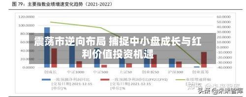 震荡市逆向布局 捕捉中小盘成长与红利价值投资机遇-第2张图片