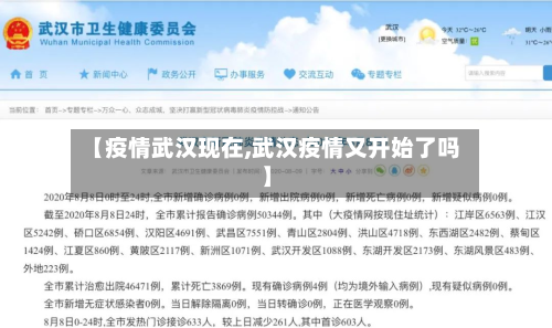 【疫情武汉现在,武汉疫情又开始了吗】-第1张图片