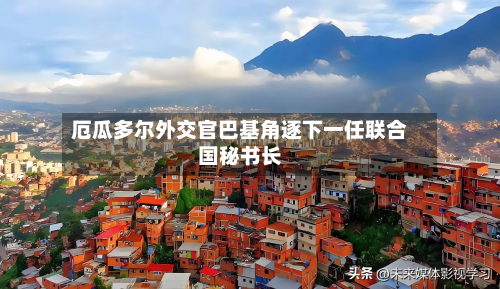 厄瓜多尔外交官巴基角逐下一任联合国秘书长-第1张图片