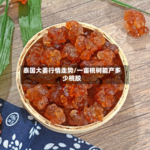 泰国大姜行情走势/一亩桃树能产多少桃胶-第1张图片