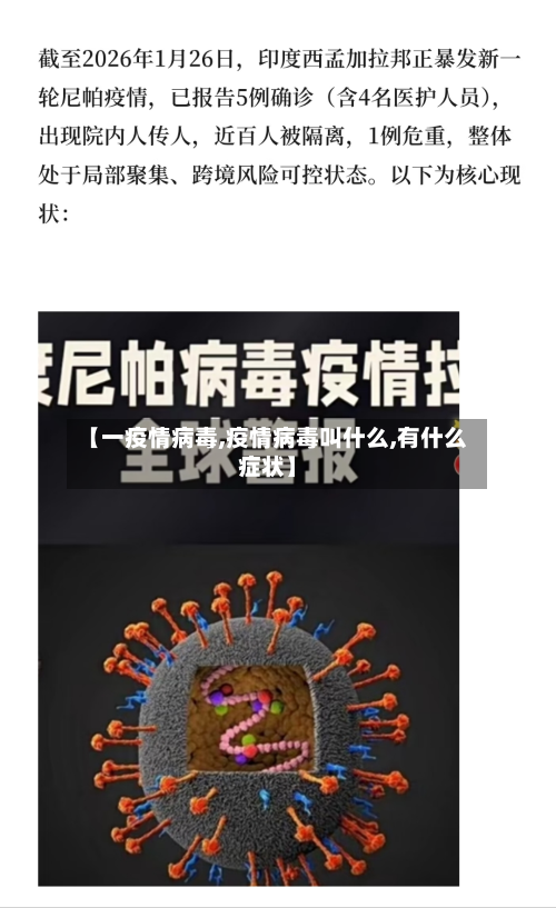 【一疫情病毒,疫情病毒叫什么,有什么症状】-第1张图片