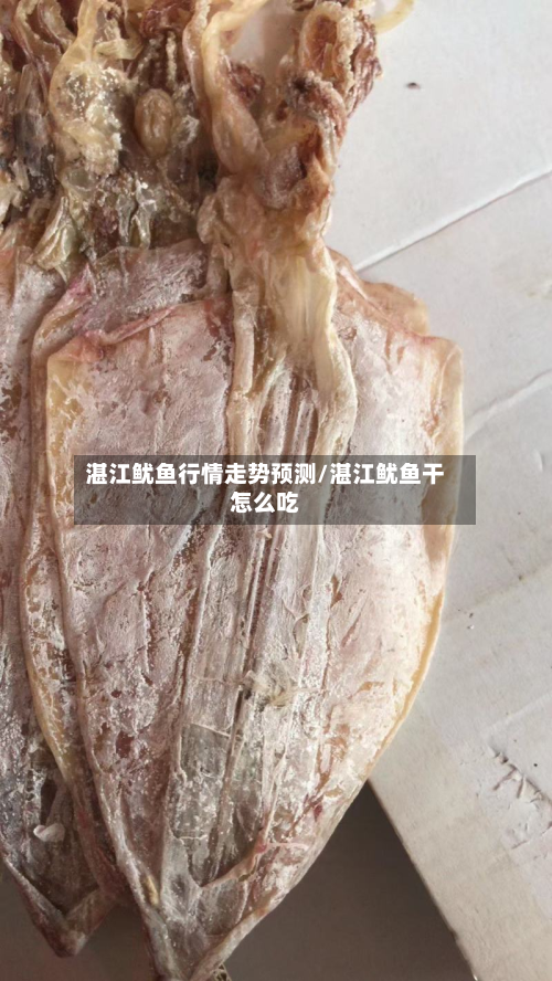 湛江鱿鱼行情走势预测/湛江鱿鱼干怎么吃-第1张图片